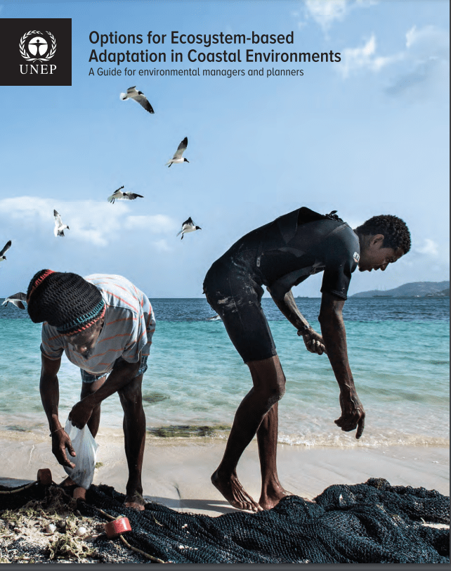 Options for Ecosystembased Adaptation in Coastal Environments Global